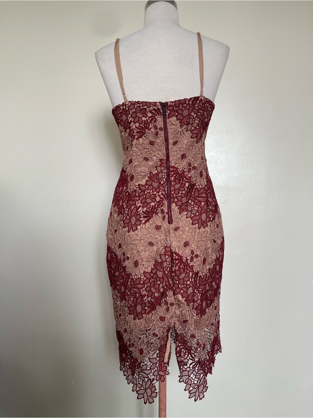 Bardot Wine Lace Midi Dress with Nude Underlay - Picture 3 of 7